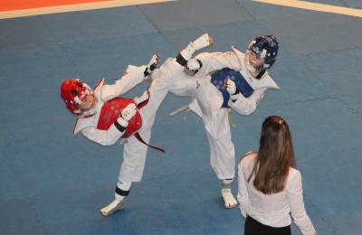 Николай Любимов открыл Всероссийские соревнования по тхэквондо «Кубок Рязанского кремля»